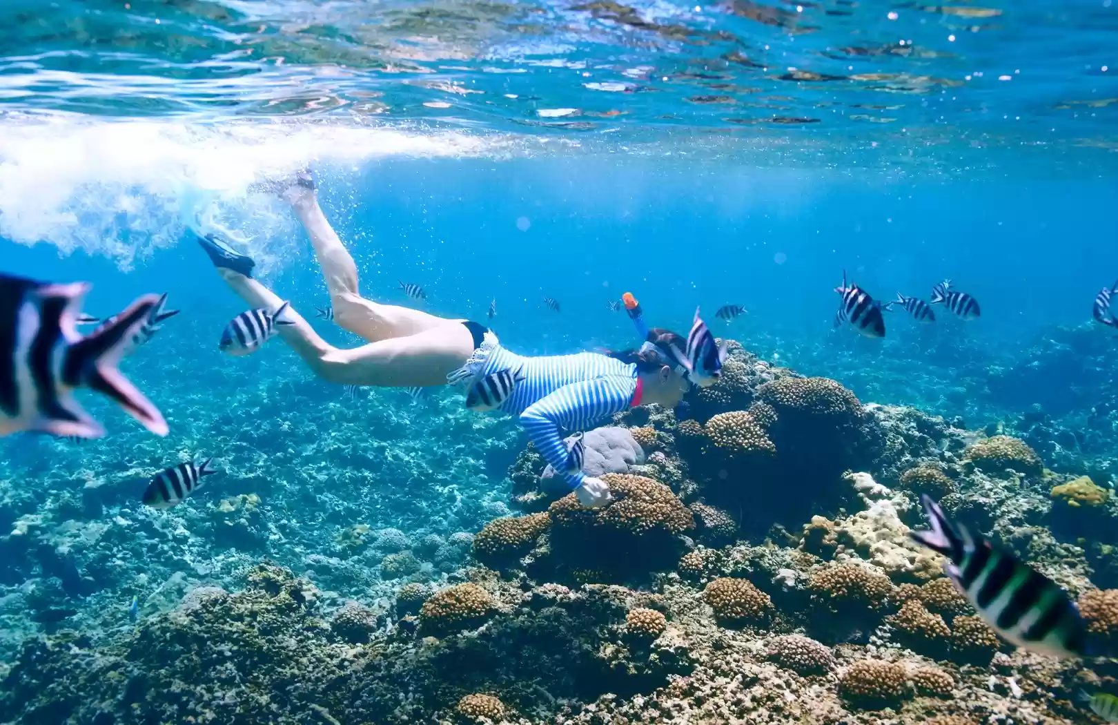 Nusa Penida: 2D1N + Snorkeling
