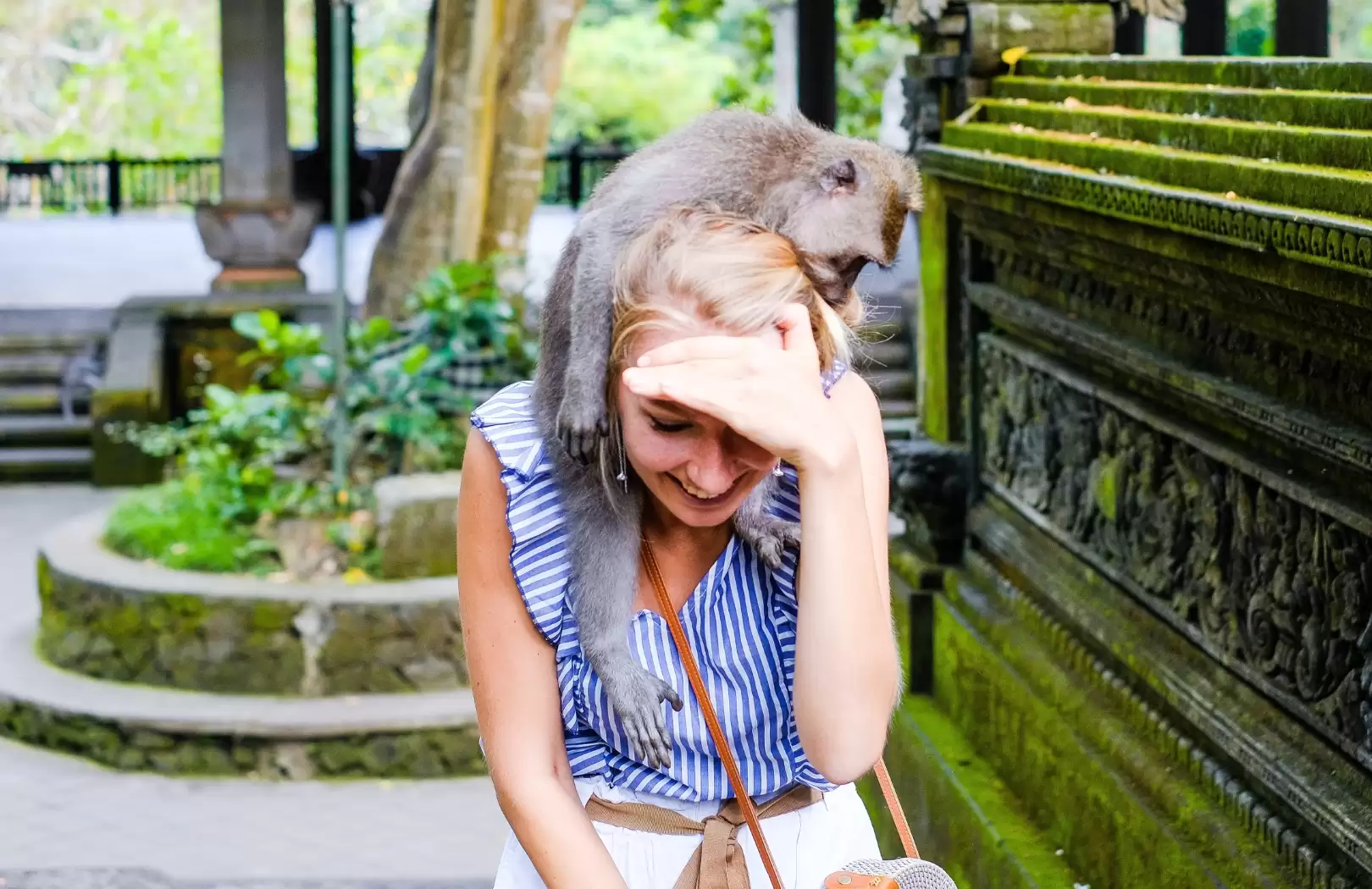 Ubud Tour D